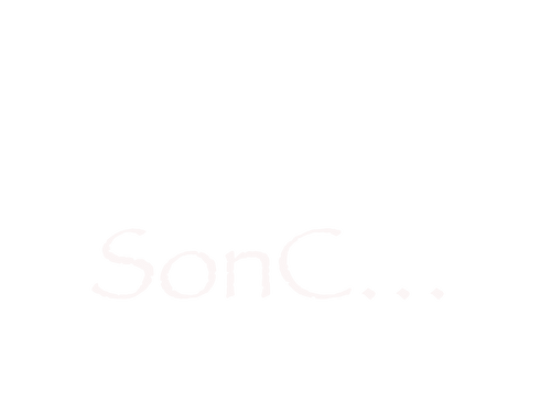 SonC… A Christian Culture for the Creative