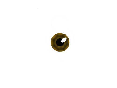 SonC… A Christian Culture for the Creative