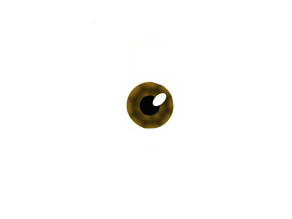 SonC… A Christian Culture for the Creative